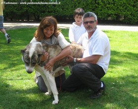 Alabay detto BEN in famiglia